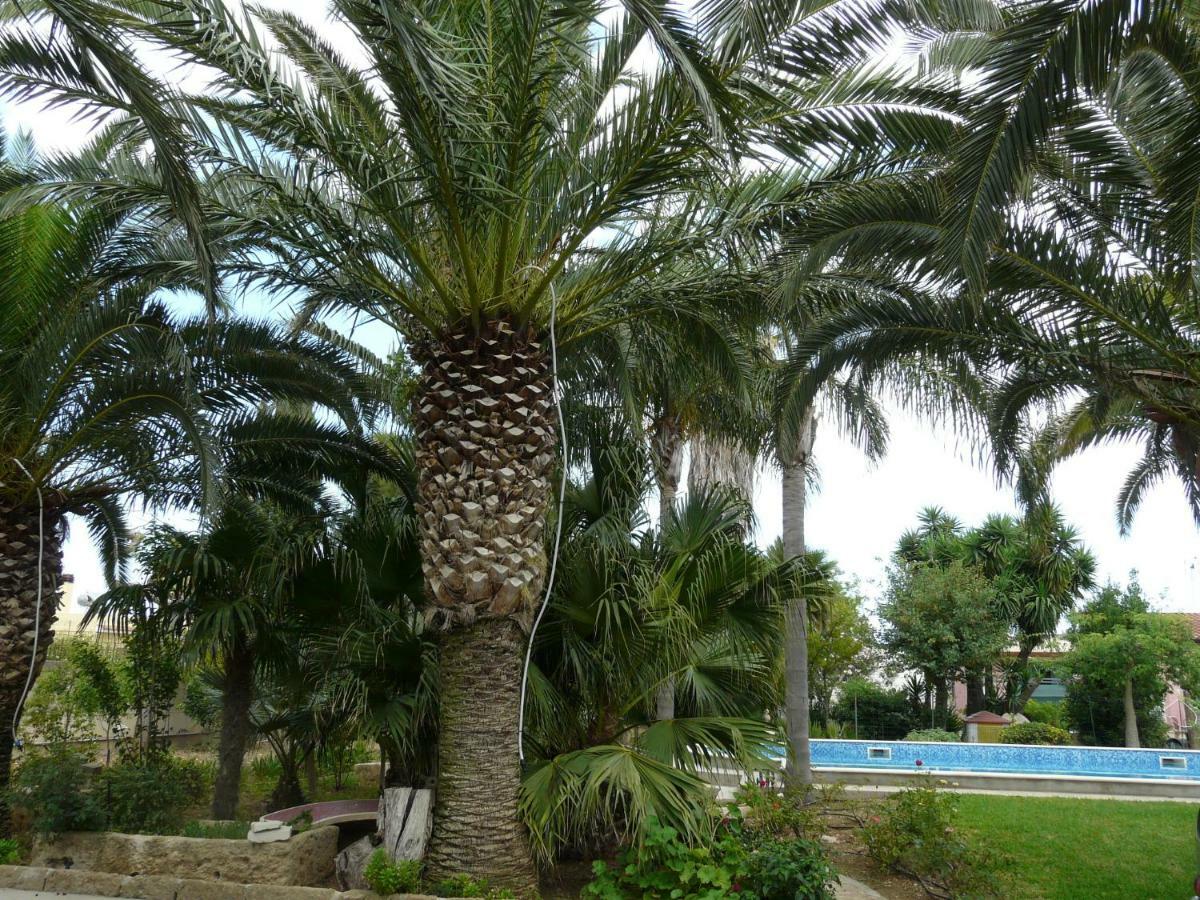 Villa Yucca Avola Εξωτερικό φωτογραφία