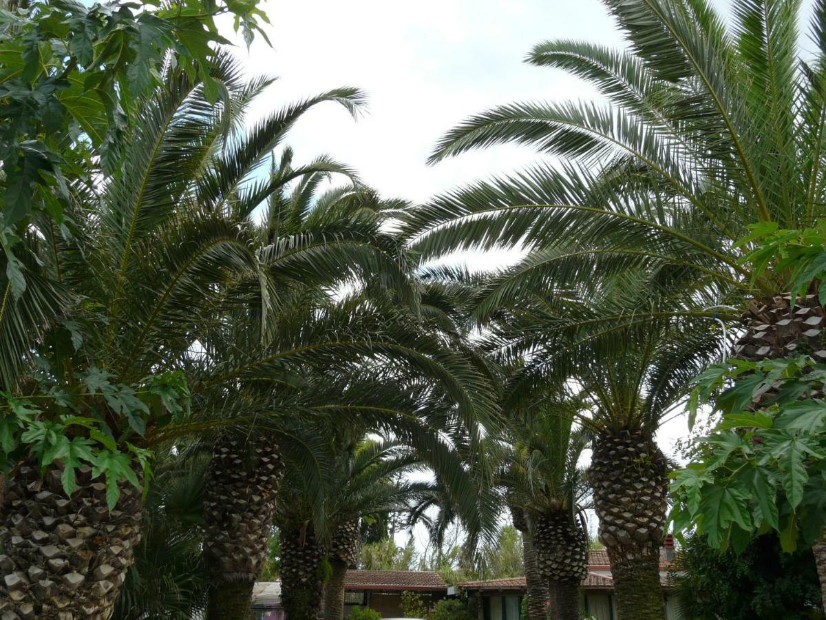 Villa Yucca Avola Εξωτερικό φωτογραφία