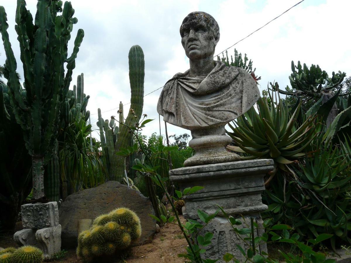 Villa Yucca Avola Εξωτερικό φωτογραφία