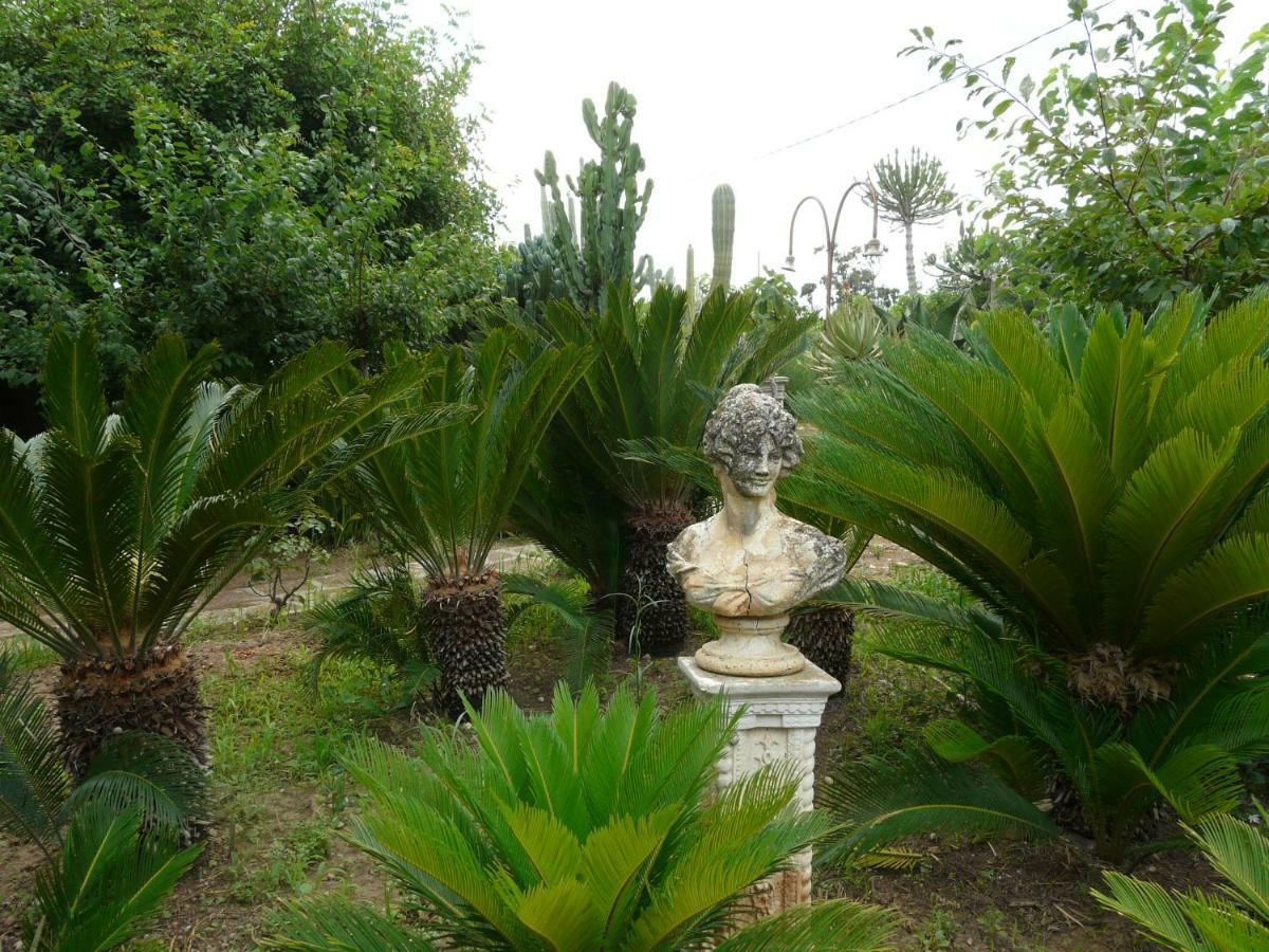 Villa Yucca Avola Εξωτερικό φωτογραφία