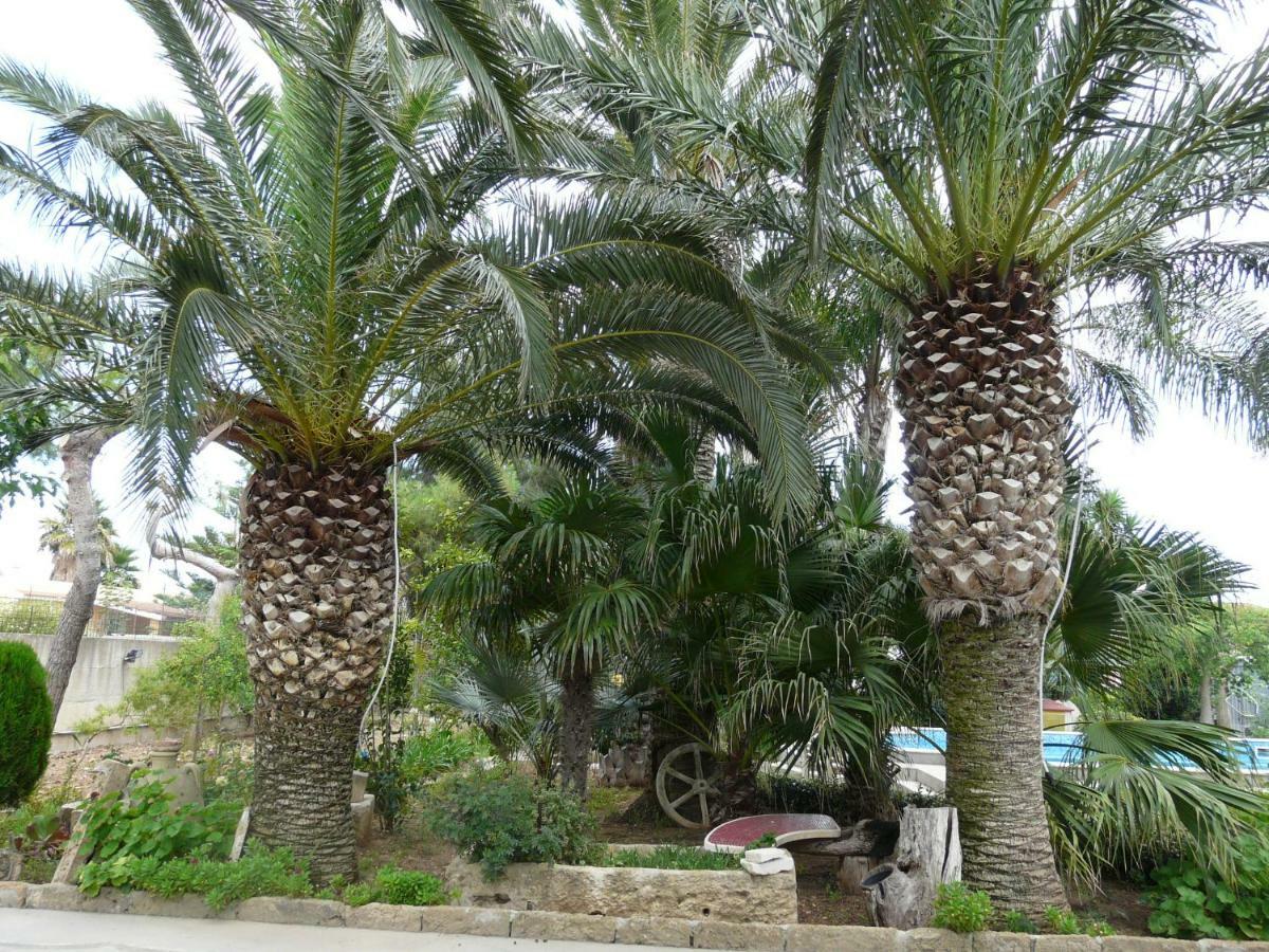 Villa Yucca Avola Εξωτερικό φωτογραφία